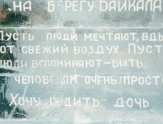 Вес каждой — около 480 килограммов.