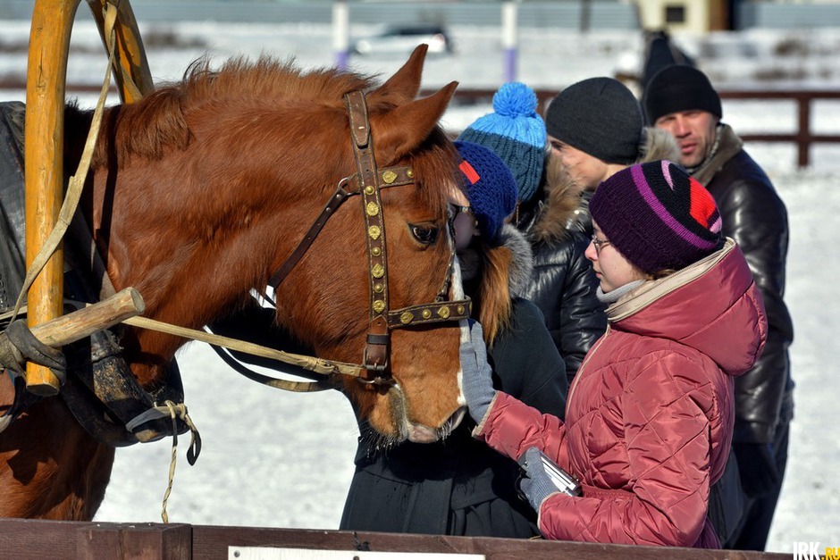 Масленица на ипподроме. Автор фото — Юрий Назыров