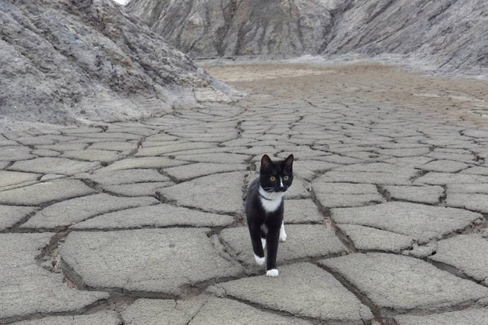 Фото из архива Андрея Останина