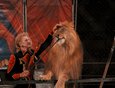 Львы в цирке великолепны. Дрессировщик Дмитрий Кузнецов и его жена Наталья нянчатся со своими подопечными, как с маленькими детьми.