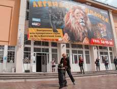 Обошлось без жертв, у дрессировщика все было под контролем, он и бровью не повел.