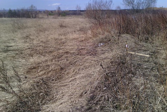 Участок в садоводстве «Ручеек»