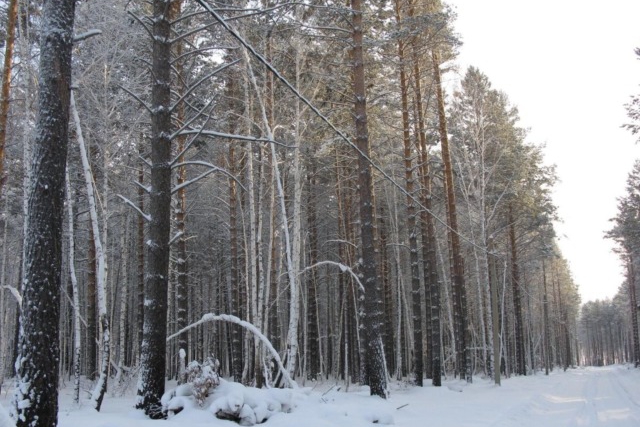 Участок в ДПК «Ангарский берег»