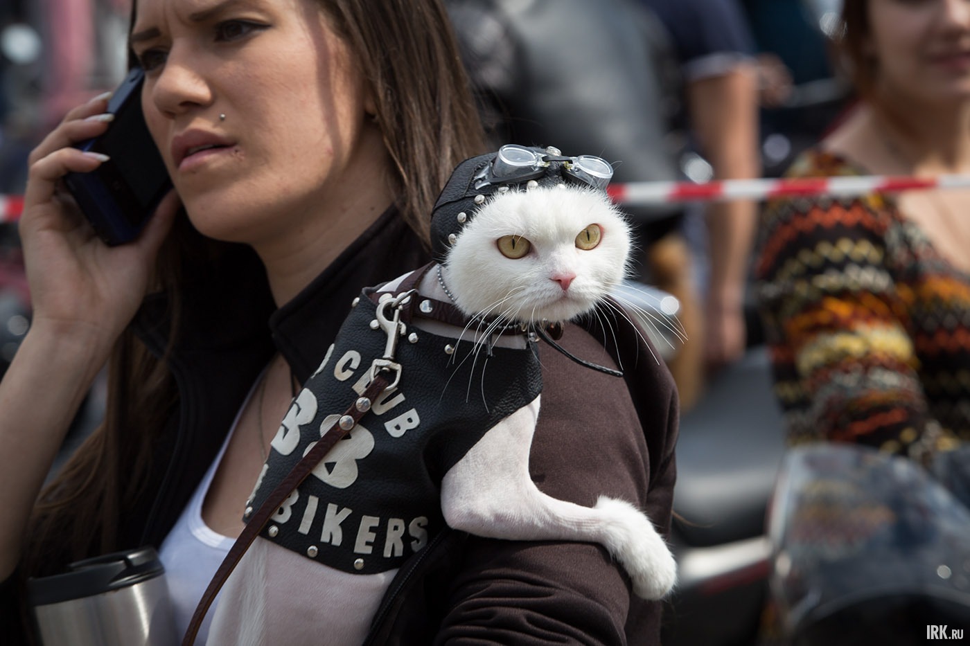 Ажиотаж на площадке вызвал своим появлением вот этот кот — настоящий байкер с суровым взглядом