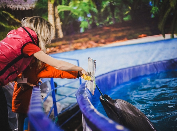 В дельфинарии. Автор фото — Кирилл Фалеев
