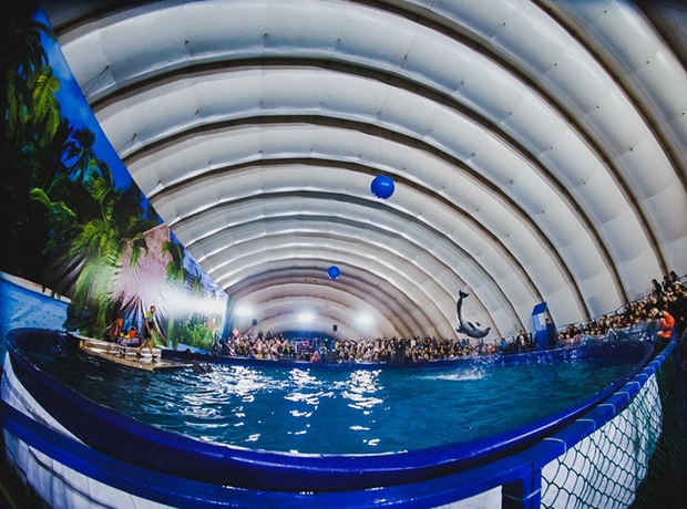 В дельфинарии. Автор фото — Кирилл Фалеев