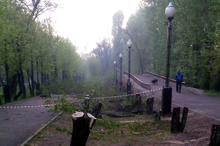 Вырубленные деревья в парке Комсомольский. Фото прислал irkit