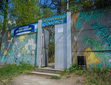 Ботанический сад ИГУ — единственный ботанический сад в Байкальском регионе. Попасть сюда можно через этот неприметный вход, по сути, отверстие в заборе, расположенном за станцией Мельниково.