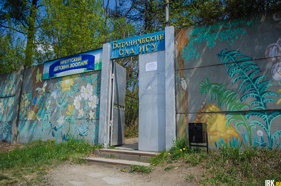 Ботанический сад ИГУ — единственный ботанический сад в Байкальском регионе. Попасть сюда можно через этот неприметный вход, по сути, отверстие в заборе, расположенном за станцией Мельниково.