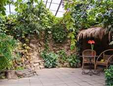 В одной из теплиц оборудована площадка для фотосессий.