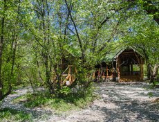 На территории сада есть пикниковая зона для семейного отдыха.