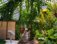 Оранжерея Ботанического сада поделена на две части. Первая открыта для посетителей, во вторую попасть нельзя: в ней растут культуры для размножения и находящиеся на карантине.