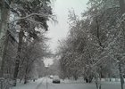 Снег. Фото ИА «Иркутск онлайн»