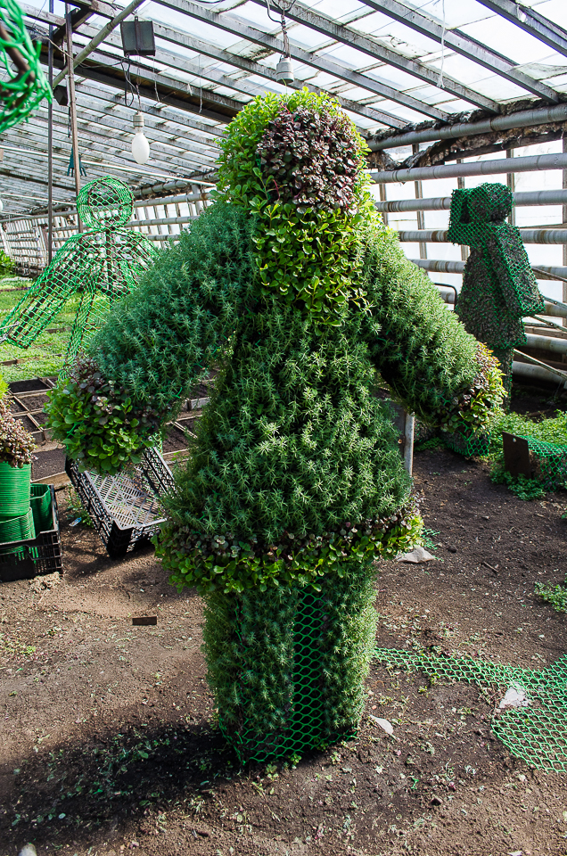 Помимо выращивания, здесь изготавливают фигуры из растений.