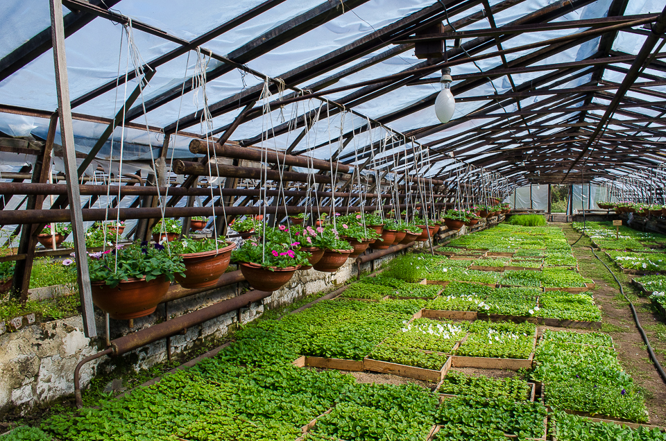 Вазоны для оформления городских улиц уже готовы.