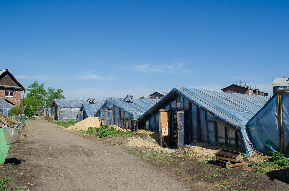 Сейчас предприятие переживает не лучшие времена.