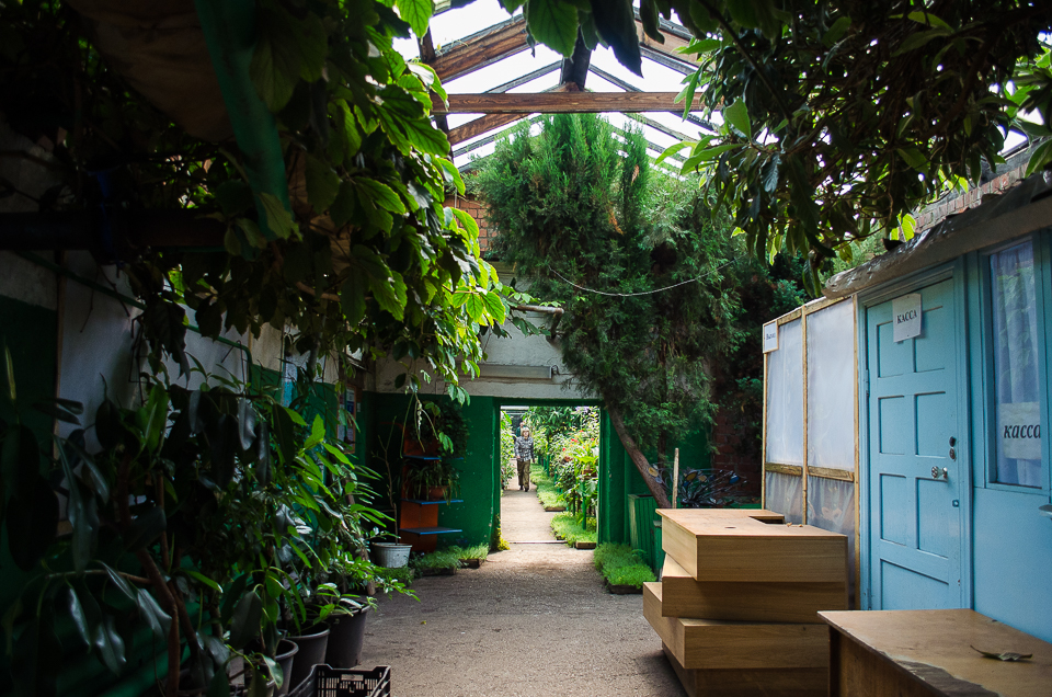 Здесь проходят школьные экскурсии и фотосессии молодоженов. Горзеленхоз никому не отказывает.