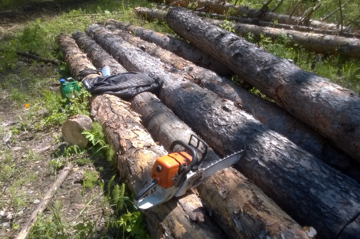 Изъятая бензопила