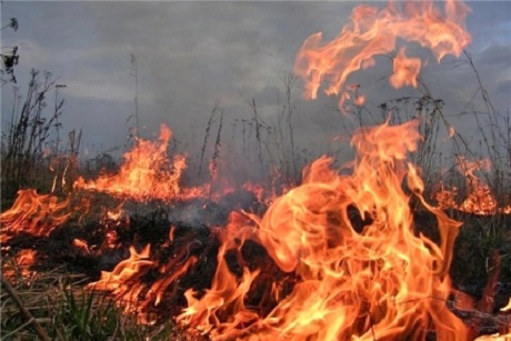 Огонь. Фото ГУ МЧС России по Иркутской области