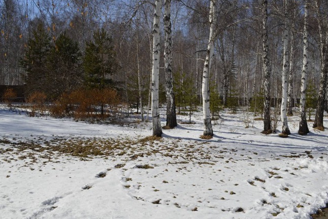 Участок на 12-м километре Байкальского тракта