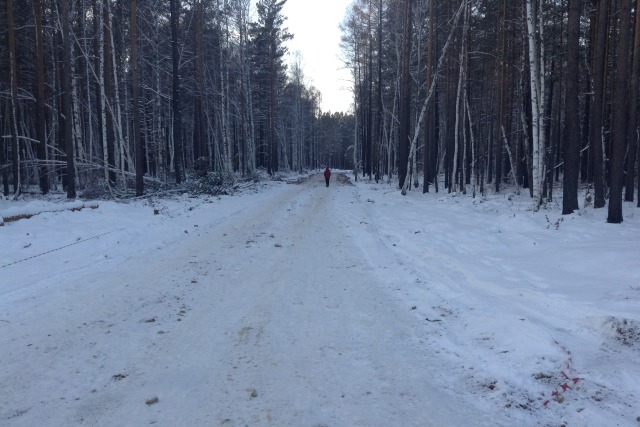 Участок на 28-м километре Байкальского тракта