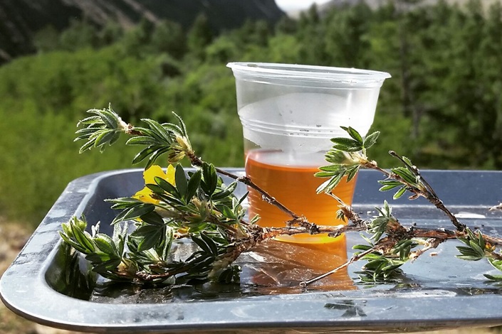 Напиток БайкАЛтай. Таежный чай