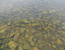 Байкальская вода.