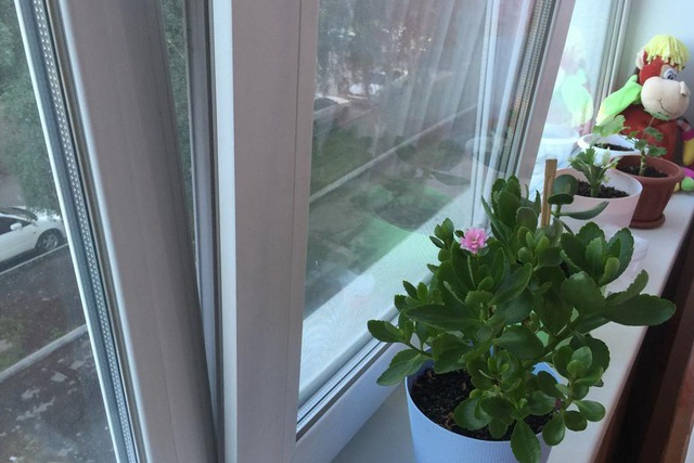 Квартира на Ледовского, 1