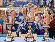 За два дня соревнований разыграно около 500 комплектов наград.