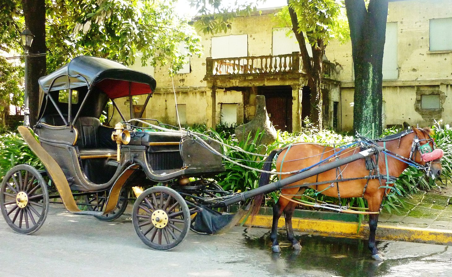Калеса — испанский транспорт Калеса — испанский транспорт