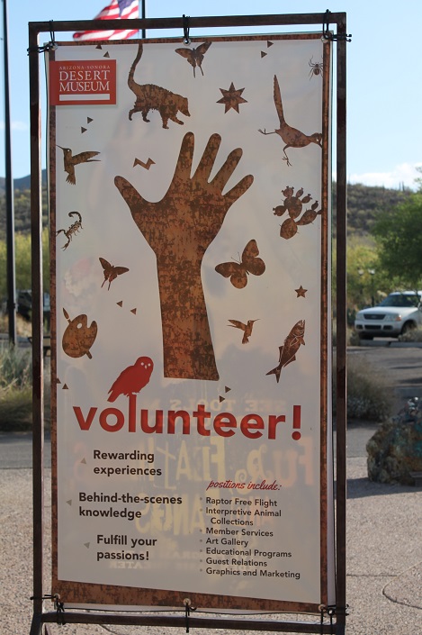 Объявление о наборе волонтеров для работы в зоопарке.