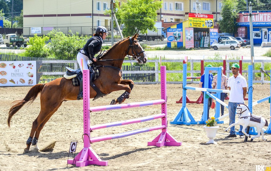 28 июня в Пивоваровском конно-спортивном центре состоялись первые в Иркутской области соревнования по конкуру для молодых лошадей «Кубок надежды Байкала».