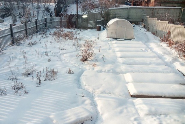 Дом на улице Лесной