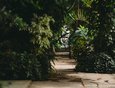 Фрагмент демонстрационной части большой оранжереи Ботанического сада ИГУ. Это тропические и субтропические растения.