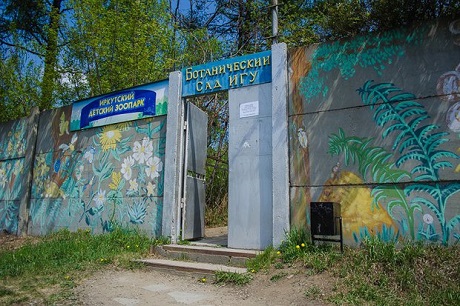 Ботанический сад ИГУ. Фото Ильи Татарникова