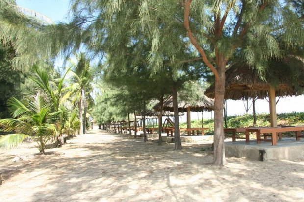 Long Thuan Resort 3*. Фото "Пегас туристик" Long Thuan Resort 3*. Фото "Пегас туристик"