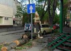 Упавшее дерево на Дзержинского, 2. Фото предоставлено пресс-службой ГУ МЧС по Иркутской области