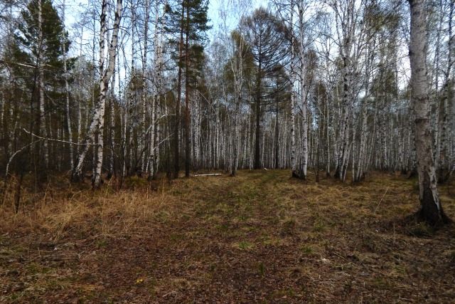 Участок на 38-м километре Байкальского тракта в поселке Березка