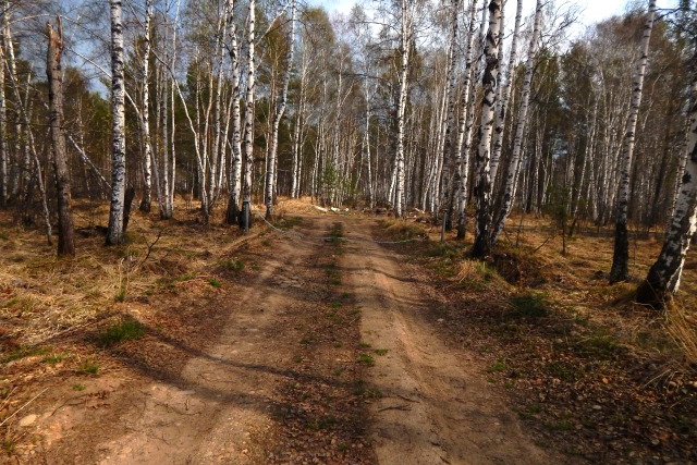 Участок на 38-м километре Байкальского тракта в поселке Березка