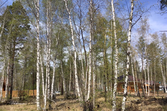 Участок на 23-м километре Байкальского тракт в ДНП «Жемчужина»