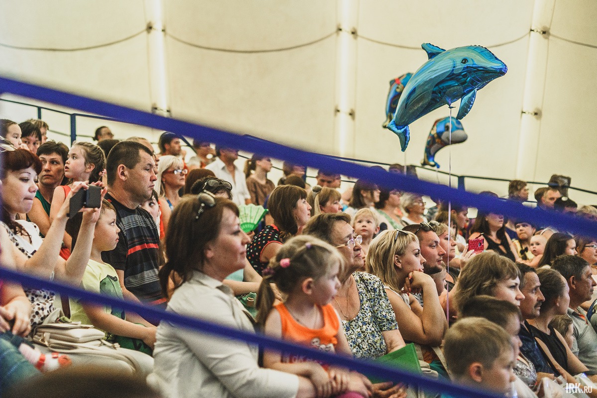 Дельфинарий гостит в Иркутске с декабря 2014 года, и все это время представления проходят при полных залах.