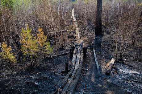 Горячий сезон в лесах Иркутской области продолжается