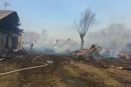 Площадь лесных пожаров в Иркутской области за сутки сократилась в три раза      31 мая 09:31