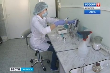 В Иркутской области за неделю 14 человек госпитализировали из-за укусов клещей
