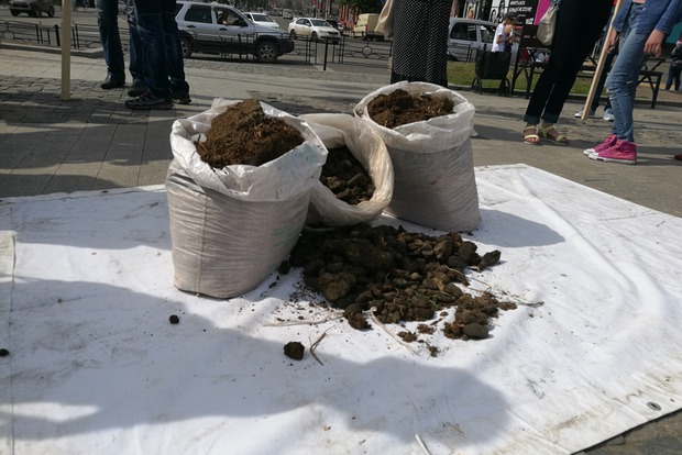 Последние новости адамовского района оренбургской