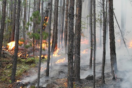 Высочайший класс пожарной опасности сохраняется в северных и западных районах Иркутской области
