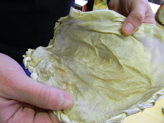 Козлиная кожа для барабанов Козлиная кожа для барабанов