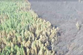 Фото пресс-службы министерства лесного комплекса Иркутской области