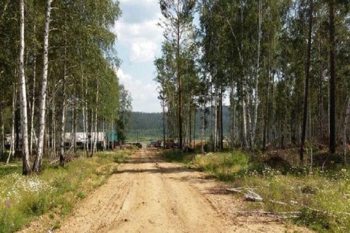 Плишкинский лес. Фото ИА «Иркутск онлайн»