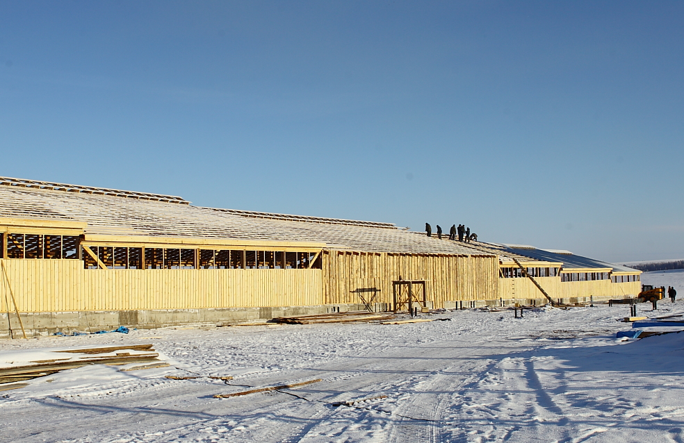 Строящийся коровник в ООО «Хадайское»